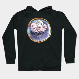 Aquarius zodiac Hoodie